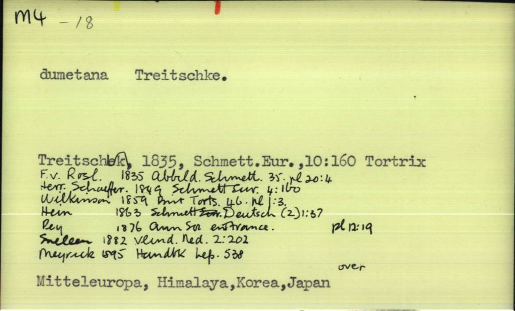 front of card